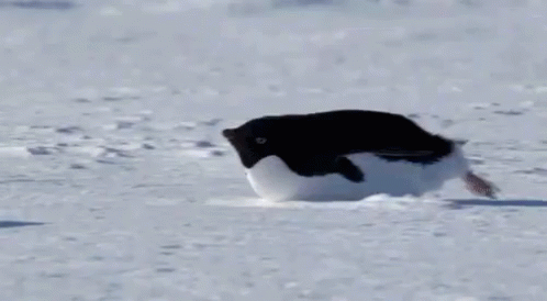 Glissage