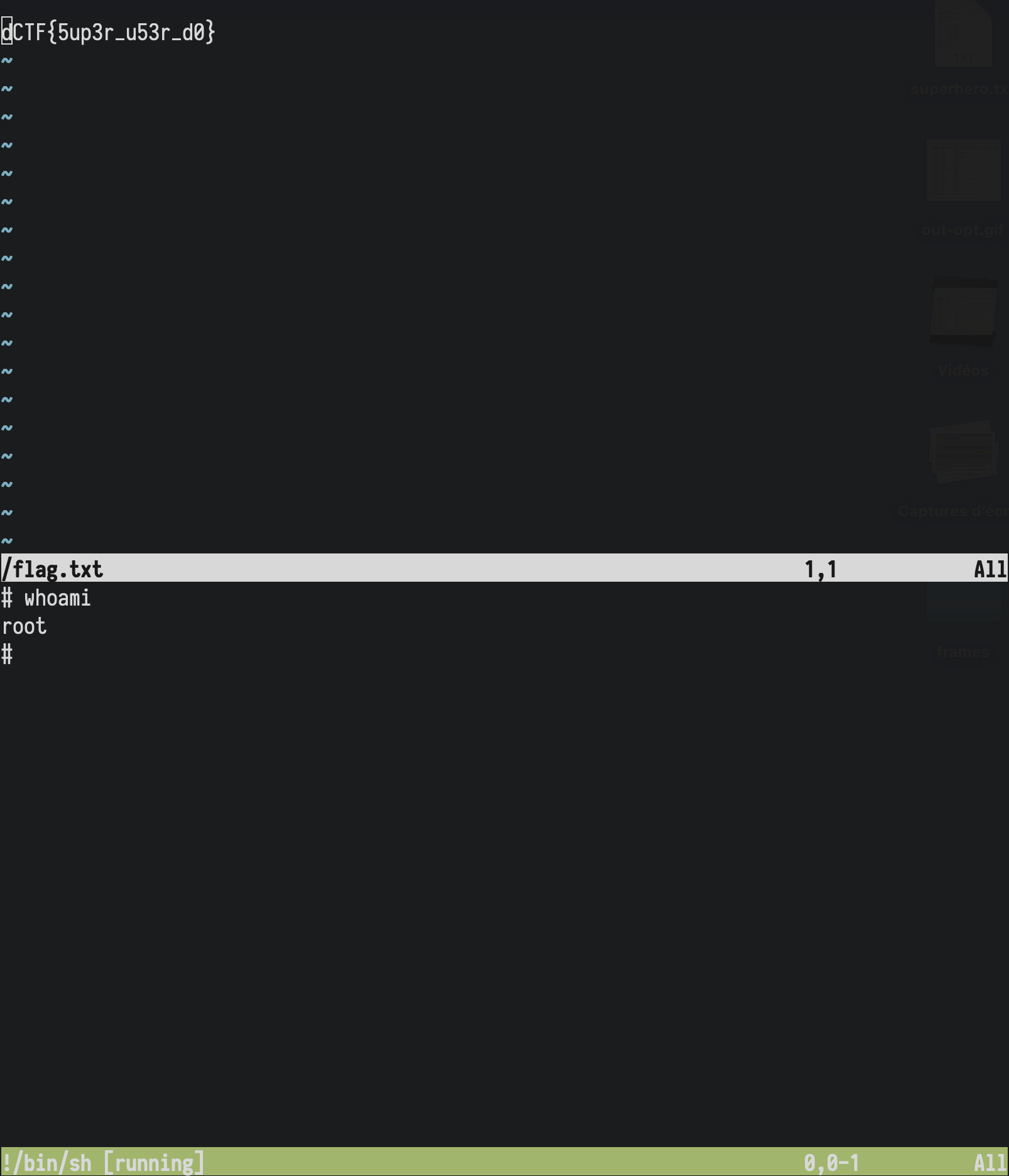 Task Description